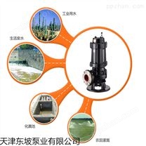 天津GNWQ带切割污水电泵